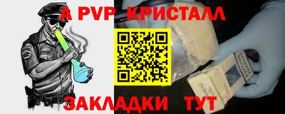 шишки Бердск