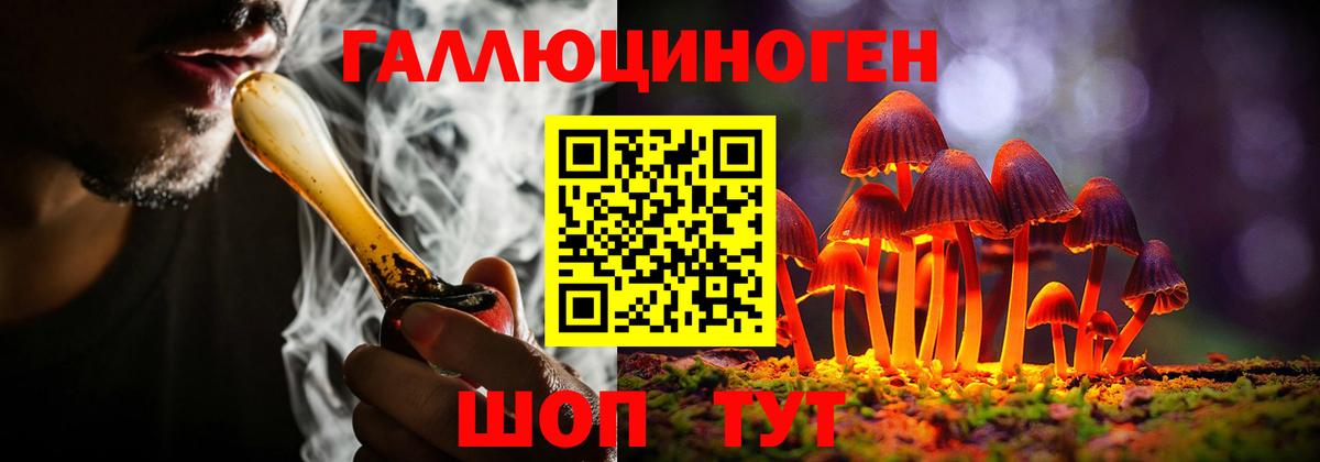 Псилоцибиновые грибы Psilocybe Губкин